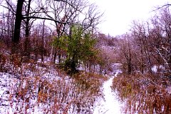 photo 0251